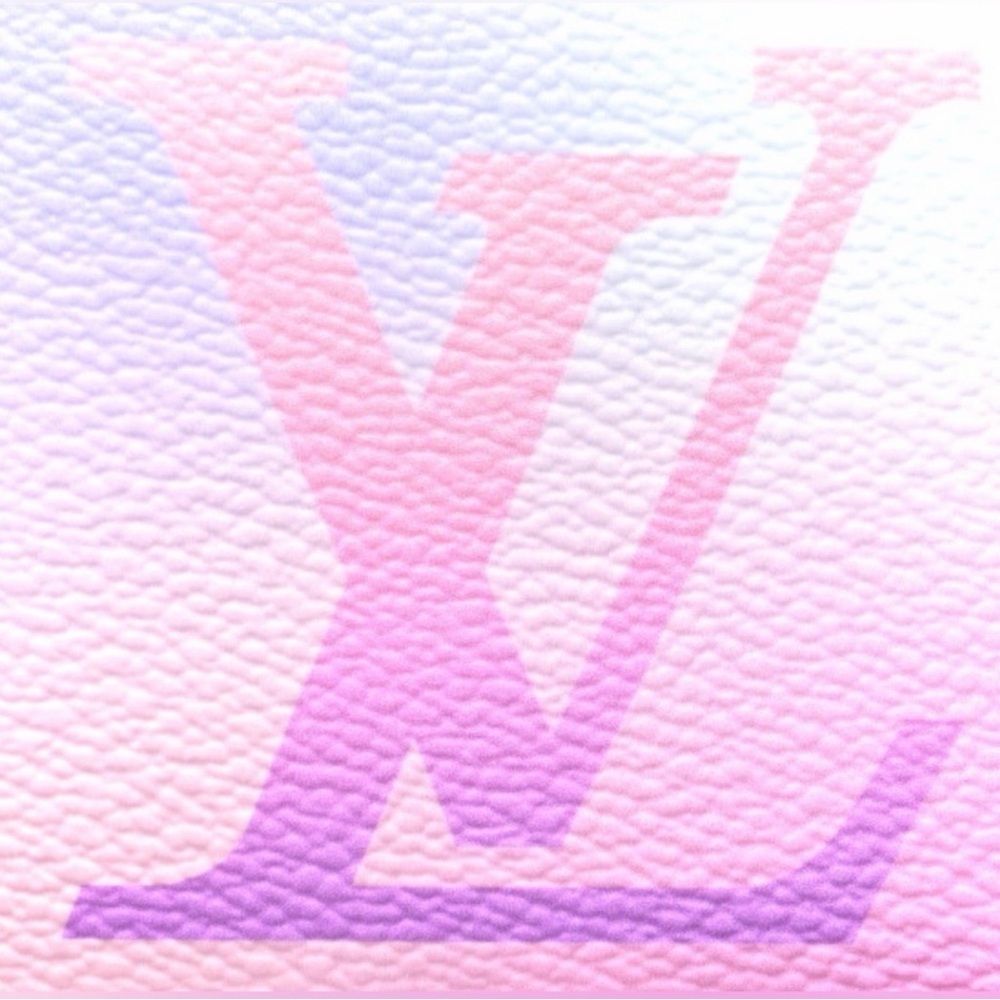NEW Louis Vuitton Spring in the City Wapity Zip Wristlet Sunrise Pastel - Picture 6 of 10